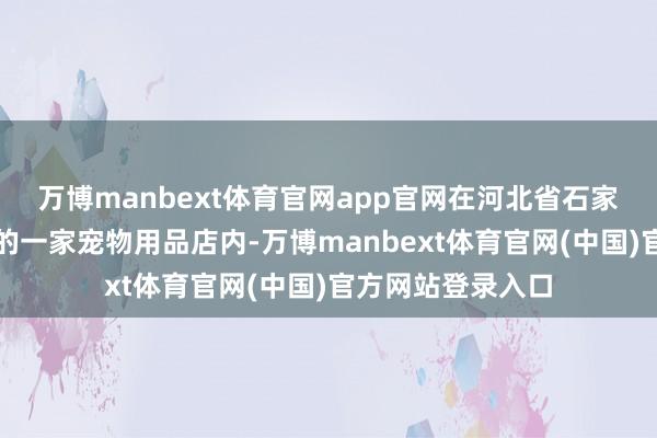 万博manbext体育官网app官网在河北省石家庄市某宠物商场的一家宠物用品店内-万博manbext体育官网(中国)官方网站登录入口