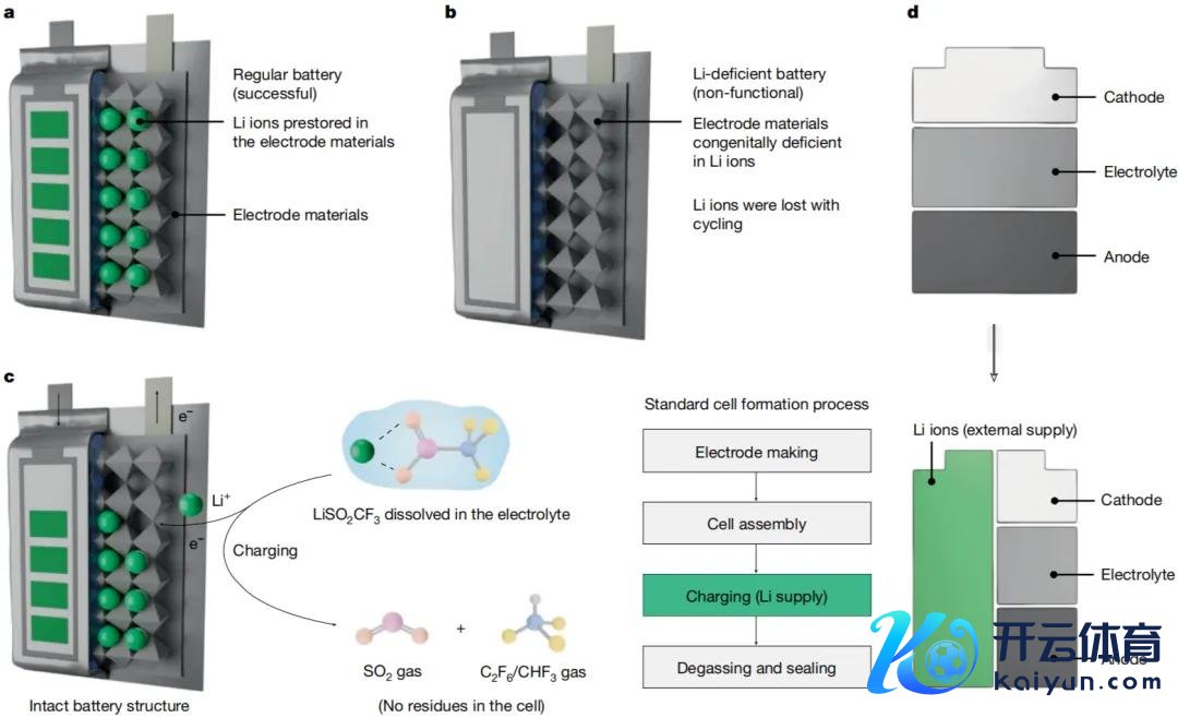 图1. 外部锂供应战略。