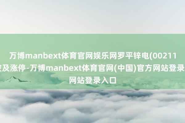 万博manbext体育官网娱乐网罗平锌电(002114)波及涨停-万博manbext体育官网(中国)官方网站登录入口