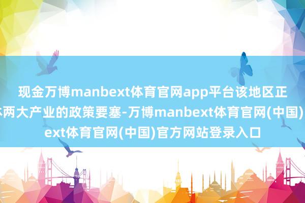 现金万博manbext体育官网app平台该地区正成为动力和半导体两大产业的政策要塞-万博manbext体育官网(中国)官方网站登录入口