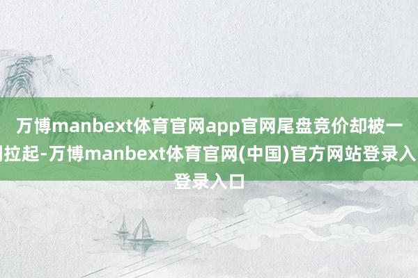 万博manbext体育官网app官网尾盘竞价却被一刹拉起-万博manbext体育官网(中国)官方网站登录入口