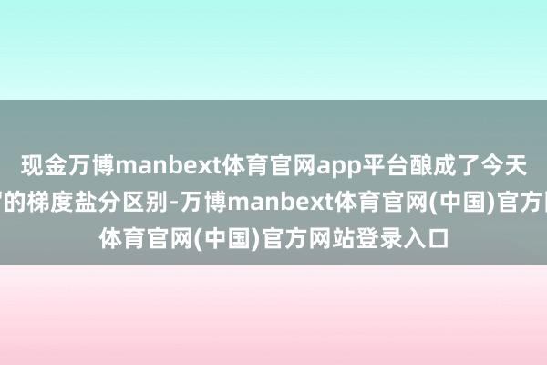 现金万博manbext体育官网app平台酿成了今天